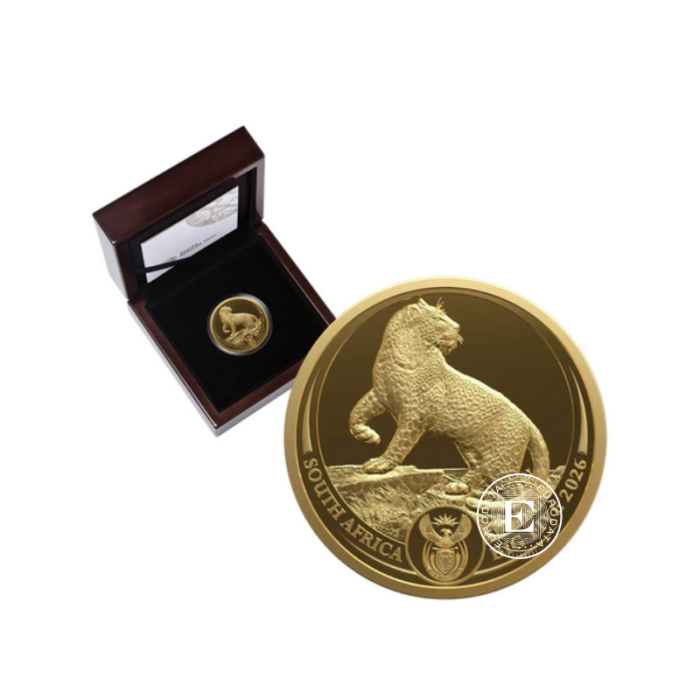1/4 oz (7.78 g) złota PROOF moneta Big Five – Leopard, Republika Południowej Afryki 2026 (z certyfikatem)