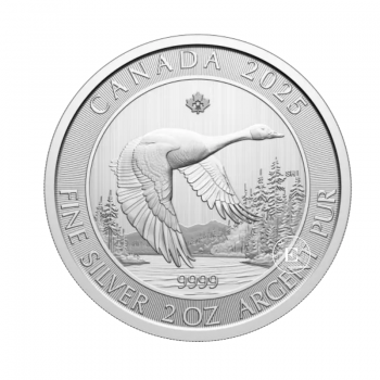 2 oz (62.20 g) silver coin Goose, Canada 2025
