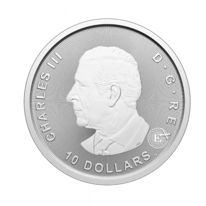2 oz (62.20 g) sidabrinė moneta Žąsis, Kanada 2025