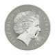 1 oz (31.10 g) silver coin Kangaroo -  RAM, Australia 2007