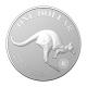 1 oz (31.10 g) pièce d'argent 30th anniversary - Kangaroo RAM, Australie 2023