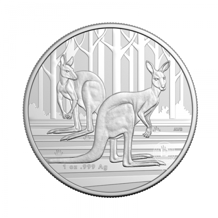1 oz (31.10 g) sidabrinė moneta Kengūra RAM, Australija 2024