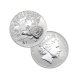 1 oz (31.10 g) silver coin on Kiwi, New Zealand 2013