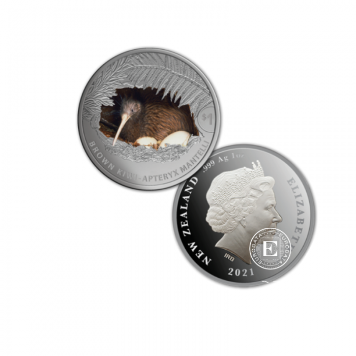 1 oz (31.10 g) sidabrinė spalvota PROOF moneta Kiwi, Naujoji  Zelandija 2021