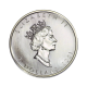 1 oz (31.10 g) sidabrinė spalvota moneta Klevo lapas, Kanada 2001