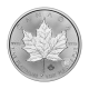 1 oz (31.10 g) platininė moneta Klevo lapas, Kanada 2025