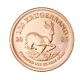 1/10 oz (3.11 g) złota moneta Krugerrand, Afryka Południowa 2025