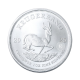 25 x 1 oz silver coins Krugerrand, South Africa 2025 (tube)