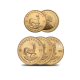 1 oz (31.10 g) auksinė moneta Krugerrand, Pietų Afrikos Respublika (atsitiktiniai metai)