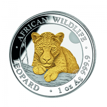 1 oz (31.10 g) sidabrinė moneta Afrikos laukinė gamta - Leopardas, Somalis 2025  (dalinai paauksuota)
