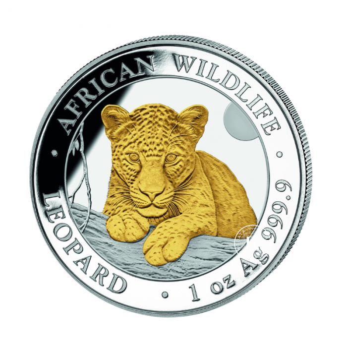 1 oz (31.10 g) silbermünze Afrikanische Tierwelt – Leopard, Somalia 2025 (teilweise vergoldet)