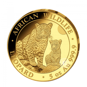 5 oz (155.50 g) auksinė PROOF moneta Afrikos laukinė gamta - Leopardas, Somalis 2024 (su sertifikatu)