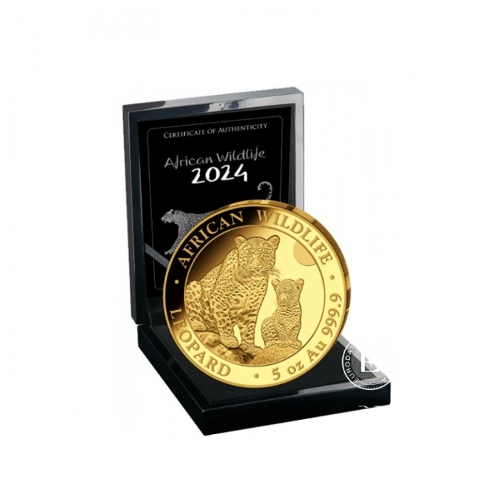 5 oz (155.50 g) pièce d'or PROOF African Wildlife, Leopard, Somali 2024 (avec certifikat)