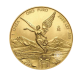 1 oz (31.10 g) auksinė moneta Laisvės angelas, Meksika 2024