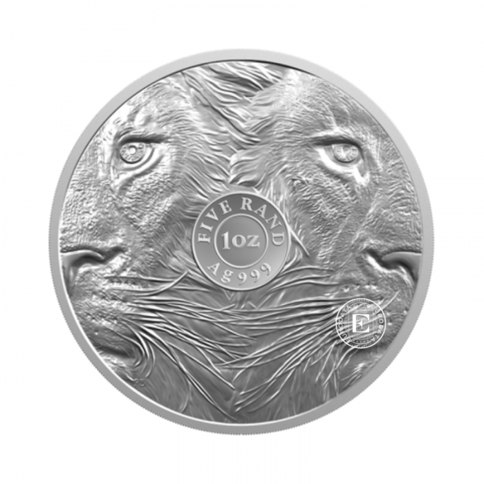 1 oz (31.10 g) silver coin on coincard Big Five – Lion, Republic of South Africa 2025