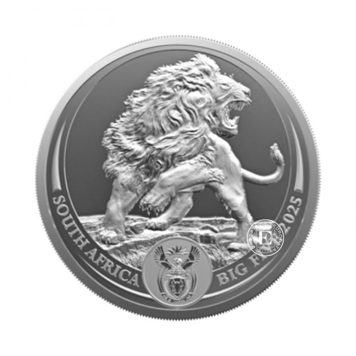 1 oz (31.10 g) silver coin on coincard Big Five – Lion, Republic of South Africa 2025