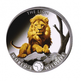 1 oz (31.10 g) sidabrinė moneta Congo World's Wildlife  - Liūtas, Kongo Respublika 2025 (dalinai paauksuota)