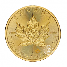 1 oz (31.10 g) auksinė moneta Klevo lapas, Kanada 2025