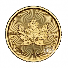 1/20 oz (1.55 g) auksinė moneta Klevo lapas, Kanada 2025