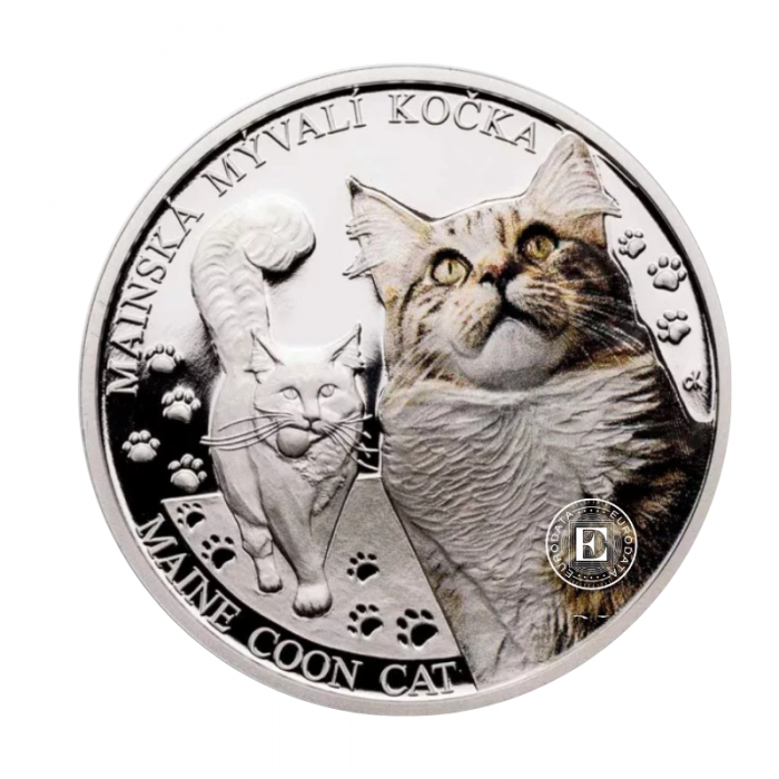 1 oz (31.10 g) sidabrinė PROOF moneta Kačių veislės - Meino meškėnas, Niujė 2024