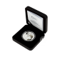 1 oz (31.10 g) sidabrinė PROOF moneta Kačių veislės - Meino meškėnas, Niujė 2024