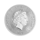 1 oz (31.10 g) sidabrinė moneta Panda, Niujė 2017