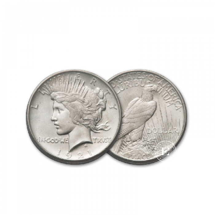 1 dollar silver coin Peace Dollar, USA (random year)