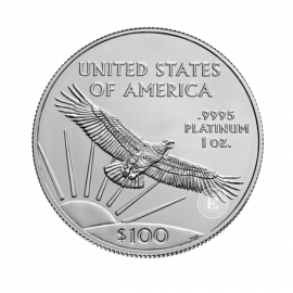 1 oz (31.10 g) Platinmünze American Eagle, USA (random year)
