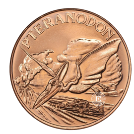 1 oz (31.10 g) Kupfermünze Pteranodon, USA random year