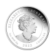 1 oz (31.10 g) pièce d'argent PROOF coloree Quokka, Australie 2022