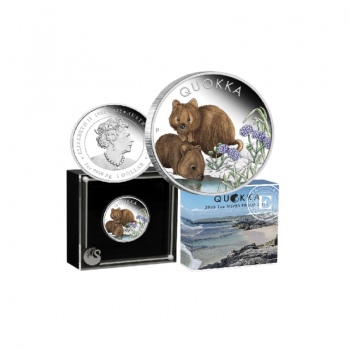 1 oz (31.10 g) srebrna kolorowa PROOF moneta Quokka, Australia 2023