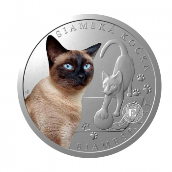 1 oz (31.10 g) sidabrinė PROOF moneta Kačių veislės - Siamo katė, Niujė 2024