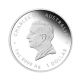 1 oz (31.10 g) pièce PROOF d'argent Lunar III - Year of  horse, Australie 2026 (partially gold-plated)