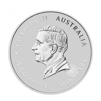 1 kg sidabrinė moneta Lunar III -  Gyvatės metai, Australija 2025 