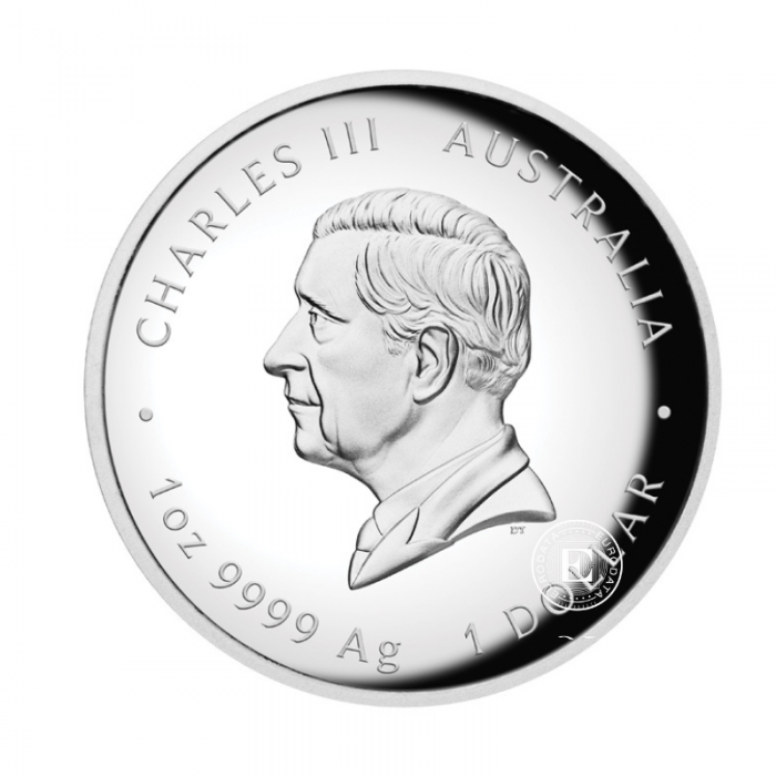 1 oz (31.10 g) sidabrinė PROOF moneta Lunar III -  Gyvatės metai, Australija 2025 (aukštas reljefas)