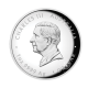 1 oz (31.10 g) sidabrinė PROOF moneta Lunar III -  Gyvatės metai, Australija 2025 (aukštas reljefas)