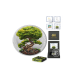 1 oz (31.10 g) sidabrinė spalvota moneta Mythical Forest - Yggdrasil - Summer, Lenkija 2025