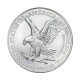 1 oz (31.10 g) pièce d'argent American Eagle - Donald Trump - Serious, USA 2024