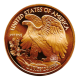 1 oz (31.10 g) varinė moneta Walking Liberty - Eagle, JAV (atsitiktiniai metai)