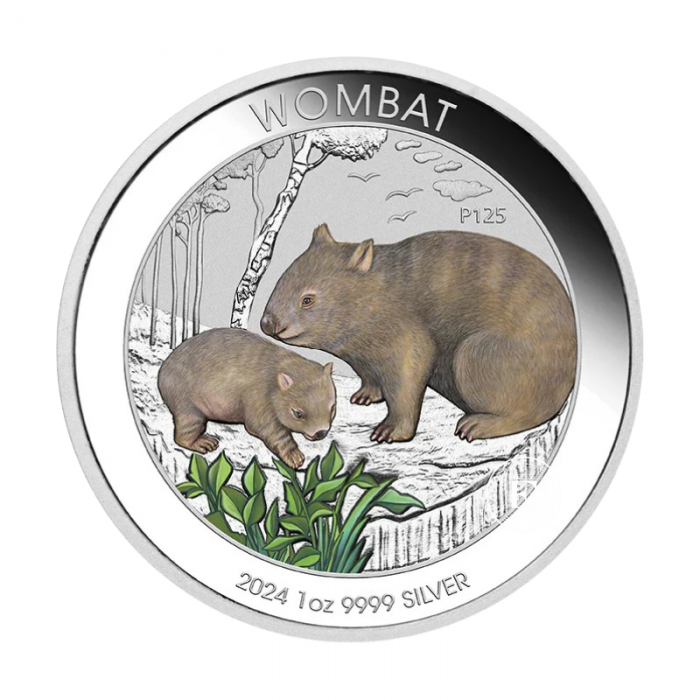 1 oz (31.10 g) silbermünze farbig auf der Karte Wombat, Australien 2024