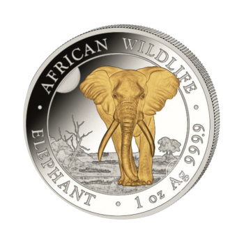 1 oz (31.10 g) sidabrinė moneta Afrikos laukinė gamta - Dramblys, Somalis 2025 (dalinai paauksuota)
