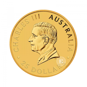 1/4 oz (7.78) auksinė moneta Kengūra, Australija 2024