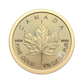 1/10 oz (3.11 g) Goldmünze Maple Leaf, Kanada 2024