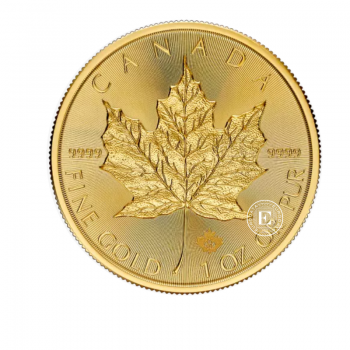 1 oz (31.10 g) auksinė moneta Klevo lapas, Kanada 2024