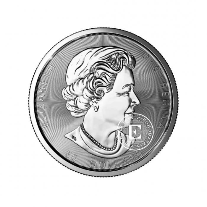 10 oz (3.11 g) sidabrinė moneta Klevo lapas, Kanada (atsitiktiniai metai)