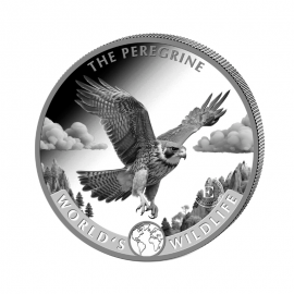 1 oz (31.10 g) pièce d'argent Congo world wildlife  - Falcon, République du Congo 2024