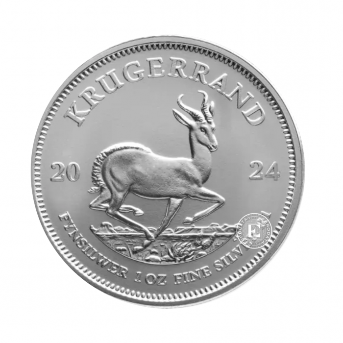 25 x 1 oz srebrna moneta Krugerrand, Afryka Południowa 2024 (tube)