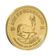 1/10 oz (3.11 g) auksinė PROOF moneta Krugerrand, Pietų Afrikos Respublika 2024 (su sertifikatu)