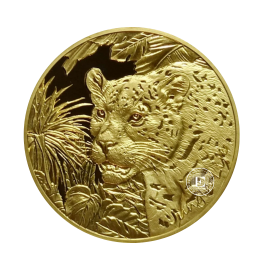 1 oz (31.10 g) gold coin Jungle Life - Leopard, Somalia 2024