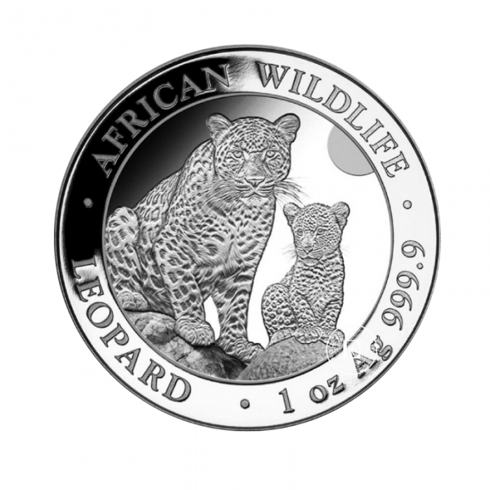 1 oz (31.10 g) pièce d'argent Faune Africaine - Leopard, Somalie 2024